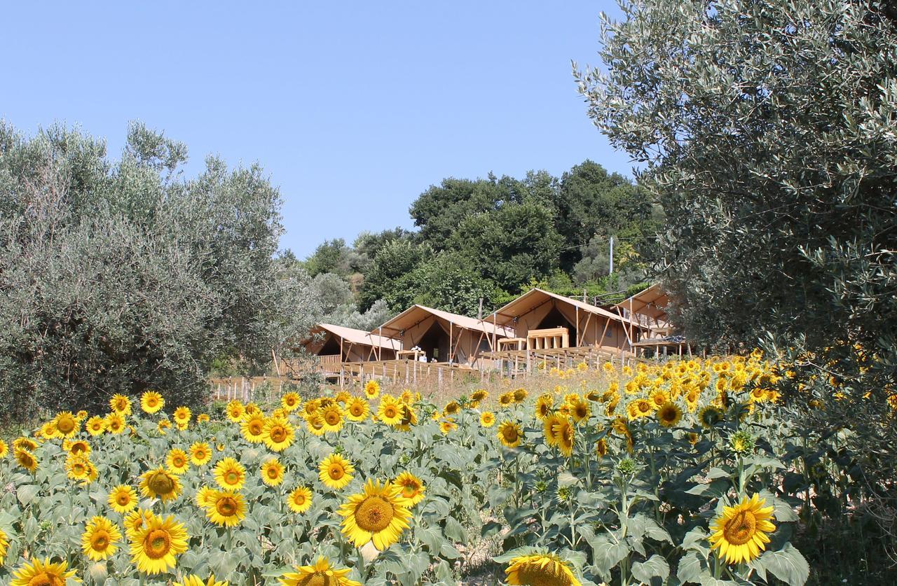 Il Girasole Country Village Massignano Exterior photo